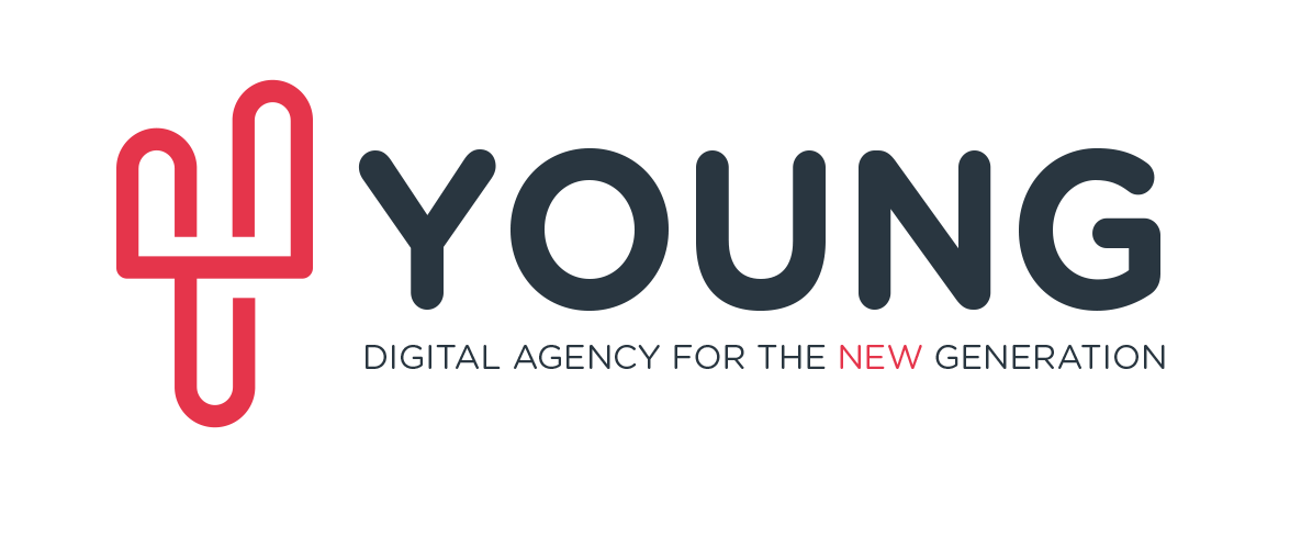 young-transparency